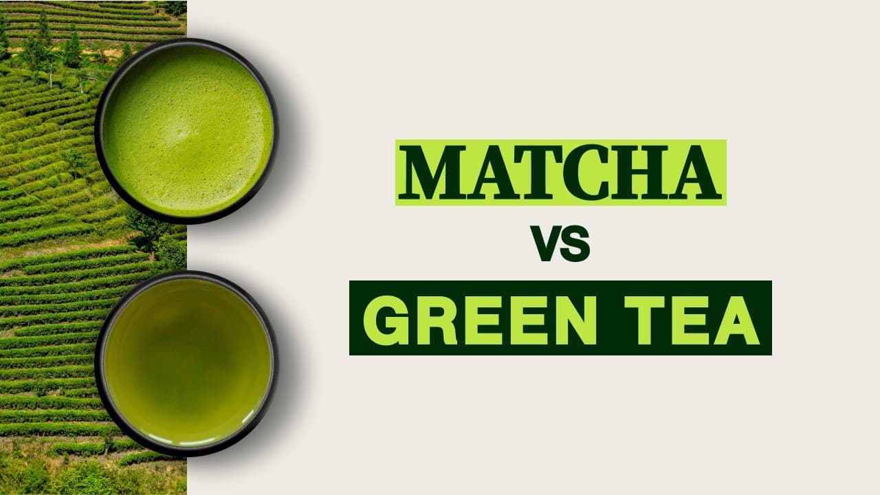 Matcha vs. Green Tea: Which is the Superior Brew?