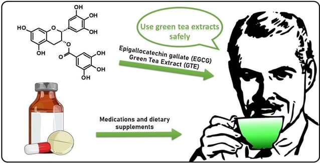 Green Tea Extract: A Rising Star in Wellness Trends