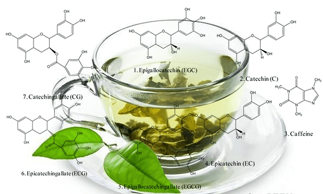 Matcha's Effect on Iron Absorption: What You Need to Know