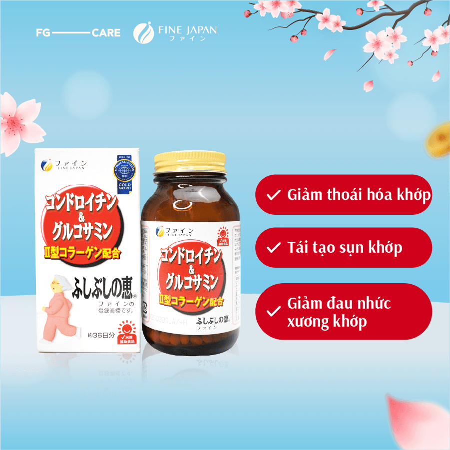 FINE JAPAN Chondroitin & Glucosamine – Advanced Joint Support – 545 Tablets