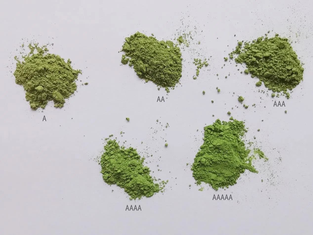 Green Tea Powder: The Next Superfood Sensation